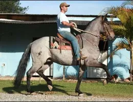 VULCÃO DA PAGÉ