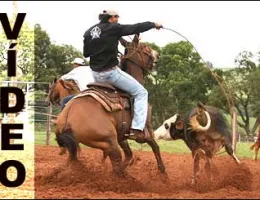 PARAGUAIA