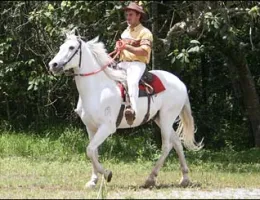 Sem nome Informado - 2828