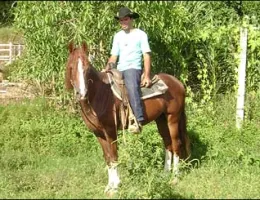 RAVENGAR