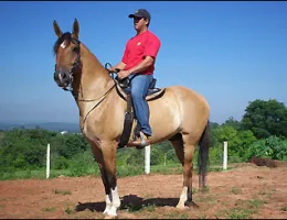 LEGENDÁRIO DO RG