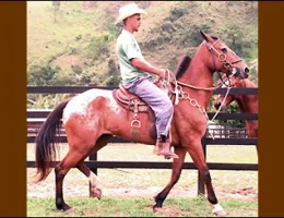Sem nome Informado - 2506