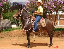 Sem nome Informado - 2243