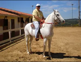 MAGNO