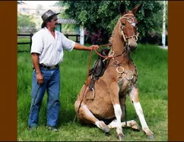 MEDALHA DO HARAS DA SERRA