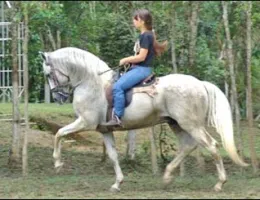 NABUCO DO TOP