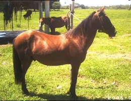 RESERVADO DA BARRA MANSA