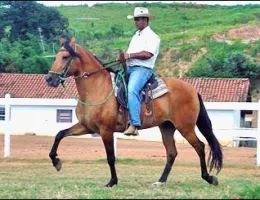 Sem nome Informado - 1323