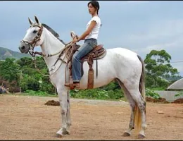 PAIXÃO
