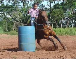 Sem nome Informado - 1266