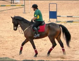 FOGUETE DO HH