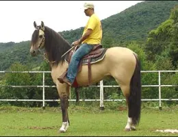 Sem nome Informado - 996