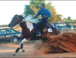 MISS BILL CODY (IMPORTADA)