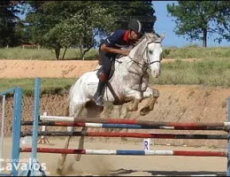 DARTANHAN