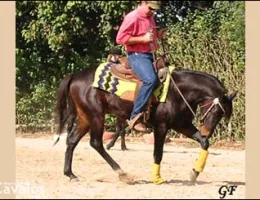 TROUBLE TEEJ CODY