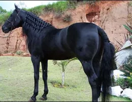 H.KHAN DO MONTSSERRAT
