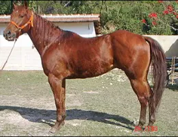 Sem nome Informado - 557