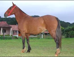 Sem nome Informado - 381