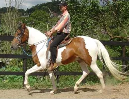 PALOMA EPB