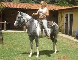 COMANCHE HE