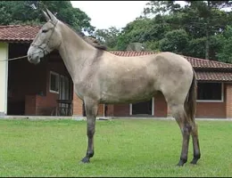 Sem nome Informado - 119