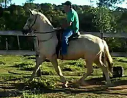 BAUXITA
