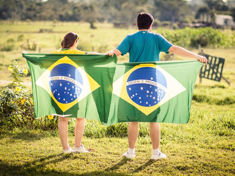 O Papel dos Cavalos na Cultura Brasileira: Tradição e Modernidade