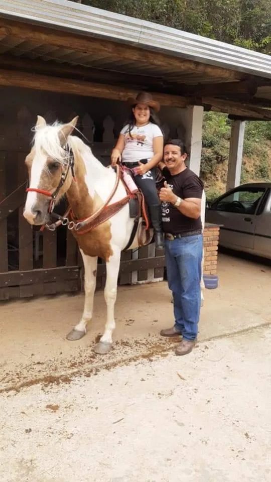 CAVALO MANGA LARGA PAULISTA 7 ANOS  