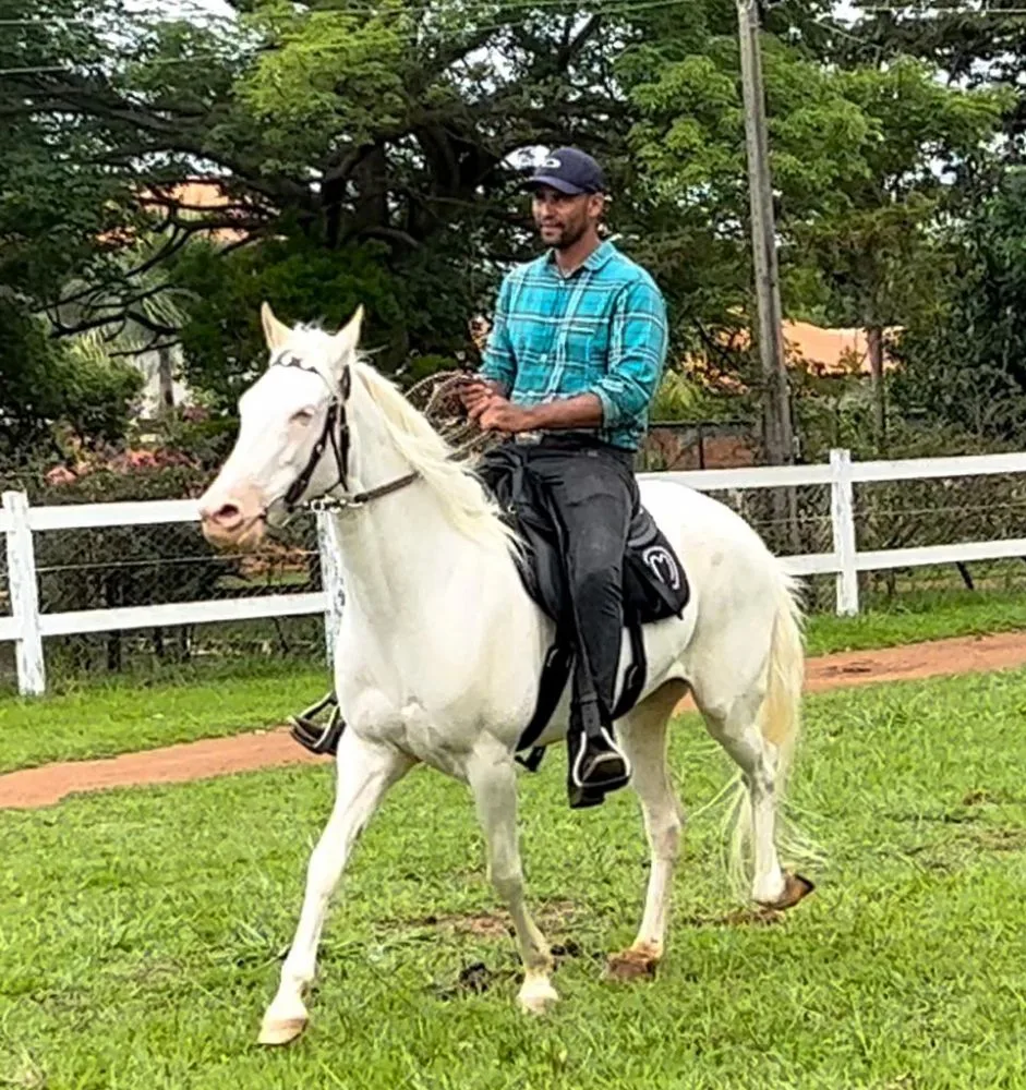 MANGA LARGA MACHADOR ÉGUA 
