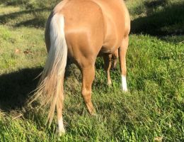 LUNA LITTLE LADY 