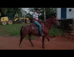 Patrícia DA-Rio das Flores