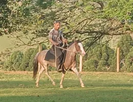 Pipa DA-Rio das Flores