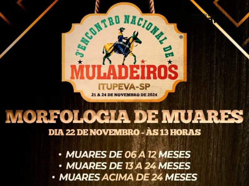 3º Encontro Nacional de Muladeiros traz a Morfologia de Muares como destaque em Itupeva-SP