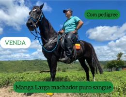 Fator do Kelner