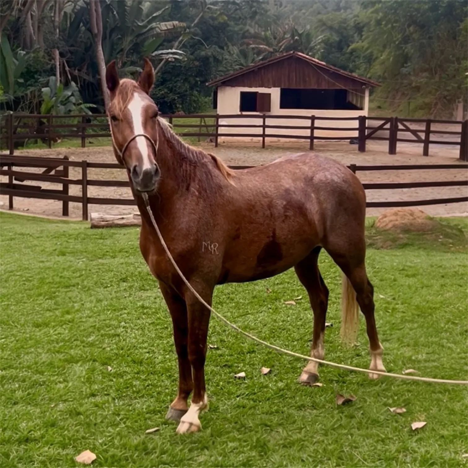 Equador