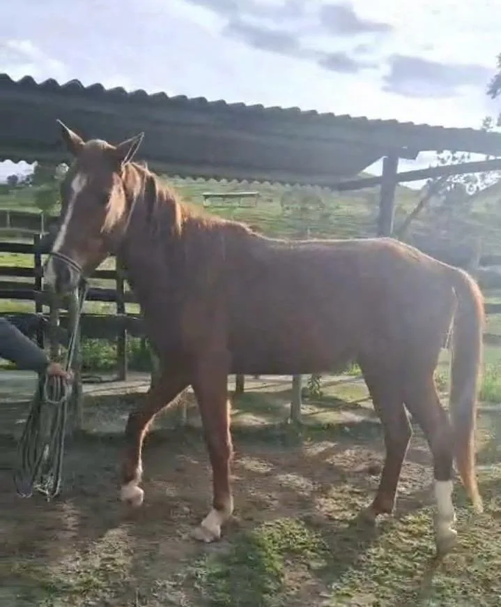Cantara BH