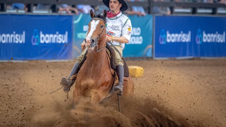 45ª Final do Freio de Ouro define campeões da raça Crioula na Expointer 2026